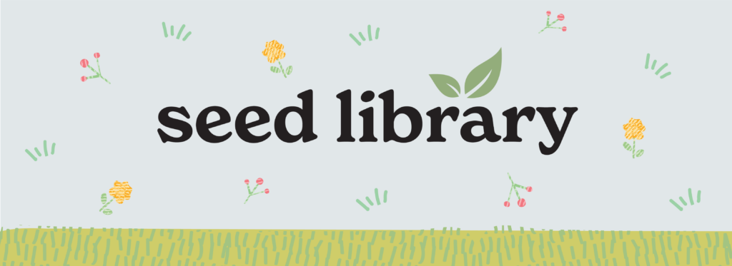 Seed Library illustration